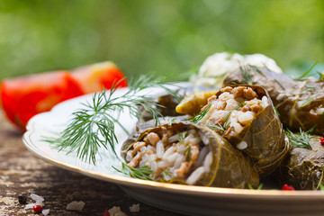 Stuffed Grape Leaves. Dolma. Azerbaijan, Turkish and Greek Cuisine