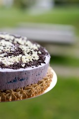 homemade blueberry cake