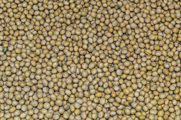 Soybean pattern as background