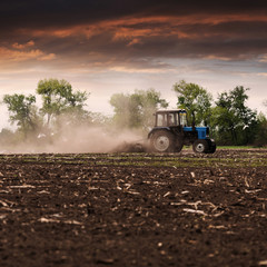 The tractor plows the field in the spring, and behind it the dust rolls and birds fly to find the food against the beautiful sunset sky. Agriculture
