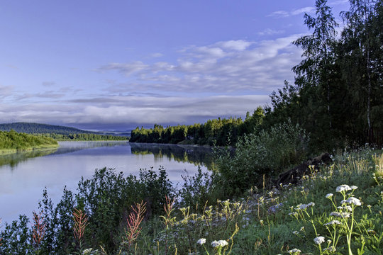 Ivalo river and flowers, Ivalo, Finland 