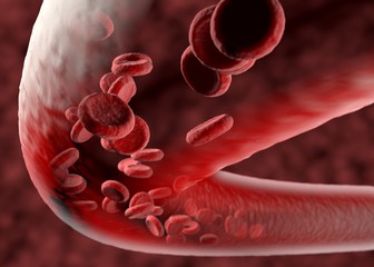 Blood vessel with flowing blood cells. 3D illustration