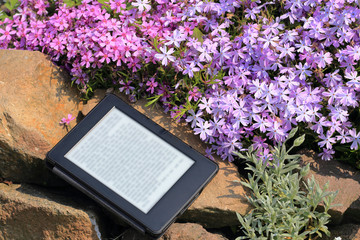 An electronic book reader on the stone