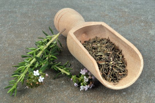 Thym frais et thym d&eacute;shydrat&eacute; 
