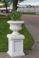  A corner of the park with a vase and flowers