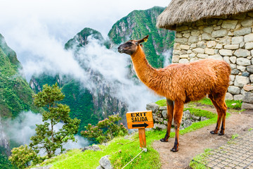 Machu Picchu, Incas ruins in Andes at Cuzco, Peru