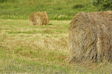 The collected hay into stacks.
