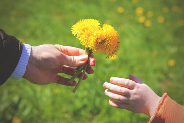 Close up of womans hand giving little  yellow  flower to child. Instagram