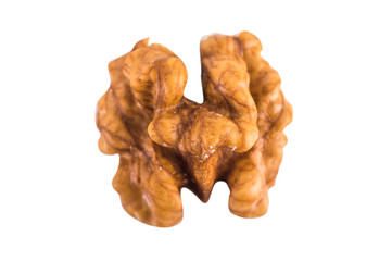 Walnut on white background. Top view