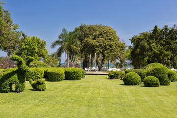 Lawn with landscape design