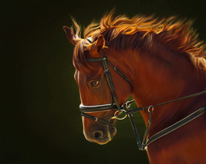 Portrait of red horse on a green background.