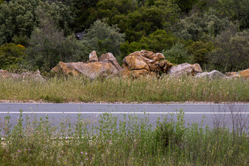 Road crossing the countryside