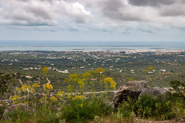 beautiful countryside vegetation