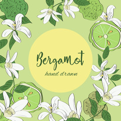 Hand drawn floral wreath of bergamot flowers. - obrazy, fototapety, plakaty