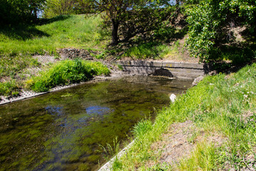 Fototapeta na wymiar Water drain in the canal. Green algae in water surface. Environmental pollution