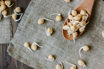 Chickpea sprouts on a wooden spoon over fabric material.