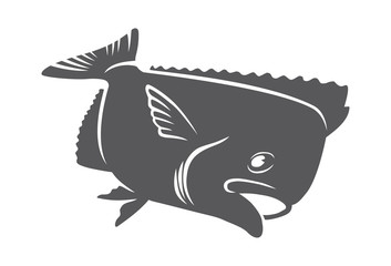 fish halibut