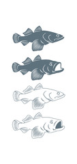 Obraz premium Goby fish