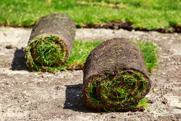 Green lawn grass in rolls