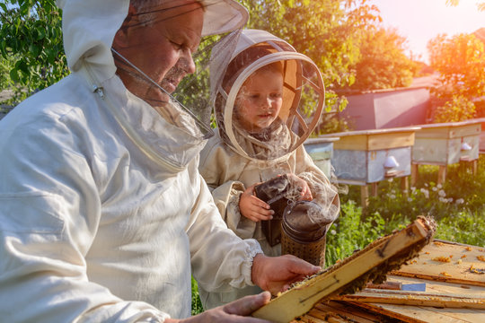 Experienced beekeeper grandfather teaches his grandson caring for bees. Apiculture. The concept of transfer of experience.