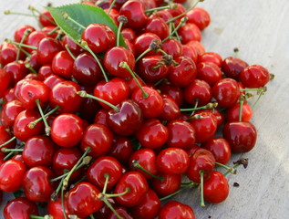 tas de cerises bio,sur fond bois,fruit de saison