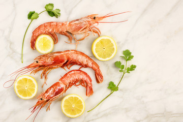 Raw shrimps with slices of lemon, cilantro, and copyspace