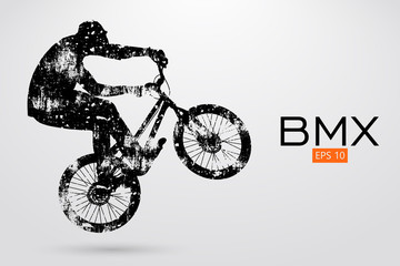 Fototapeta na wymiar Silhouette of a BMX rider. Vector illustration