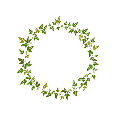 English ivy wreath