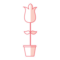 cute rose garden with pot isolated icon vector illustration design