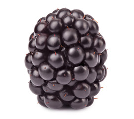 Ripe blackberry isolated on white background with clipping path
