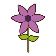 cute flower garden isolated icon vector illustration design