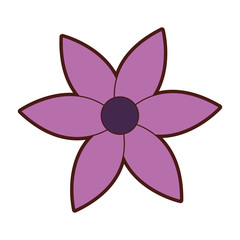 cute flower garden isolated icon vector illustration design