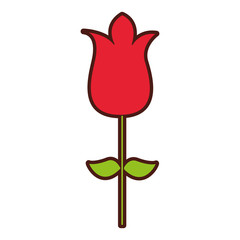 cute rose garden isolated icon vector illustration design