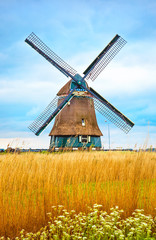 Old Dutch mill with yellow wheat at blue white cloud Netherlands