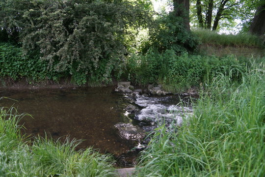 Swistbach Staustufen