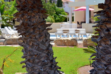 vacation villa with pool and sun beds 