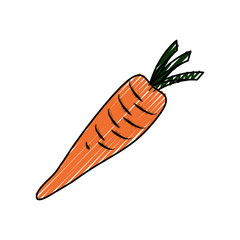 Delicious and fresh carrot icon vector illustration graphic design