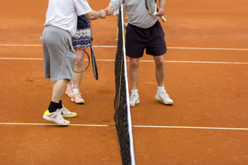 Tennis players shake hands after the tennis match