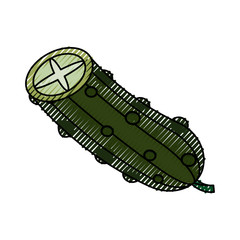 Fresh cucumber vegetable icon vector illustration graphic design