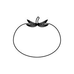Fresh tomato vegetable icon vector illustration graphic design