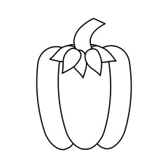 Fresh pepper vegetable icon vector illustration graphic design