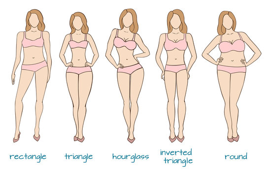 Female body figures, woman shapes, five types