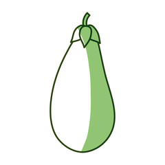 Eggplant delicious vegetable icon vector illustration graphic design