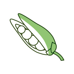 Peas fresh vegetable icon vector illustration graphic design