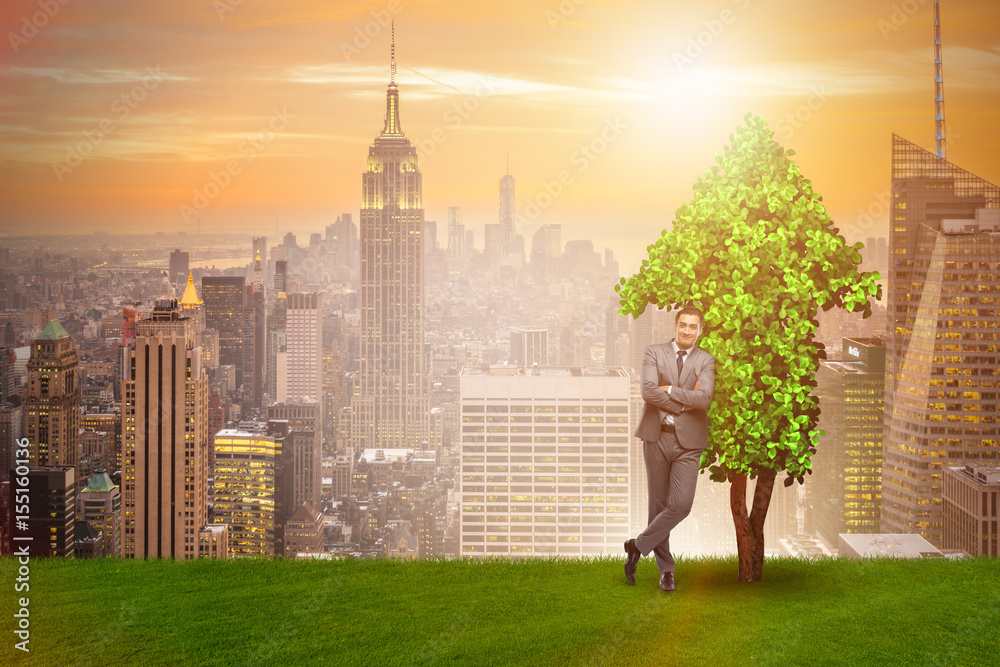 Wall mural Businessman in sustainable green development concept