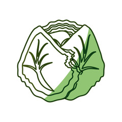 Fresh lettuce vegetable icon vector illustration graphic design
