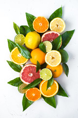 Fresh citrus fruit assortment on white. Fruit background.