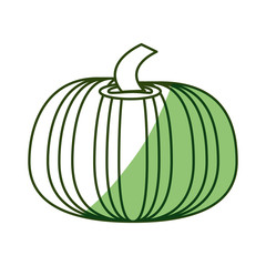 Fresh pumpkin vegetable icon vector illustration graphic design