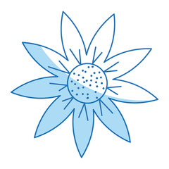 outline flower natural decoration delicate vector illustration