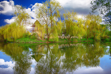 Obraz premium Tranquil Pond With Lush Green Woodland Park in Sunshine